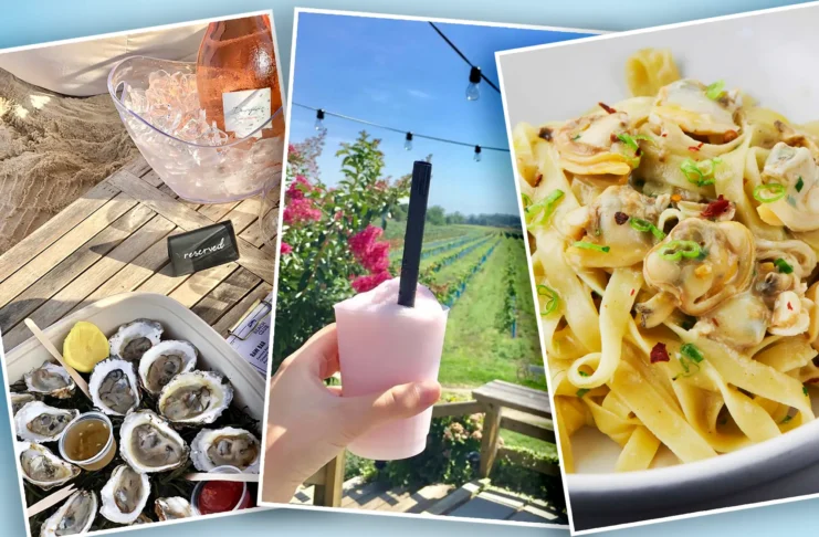 A vibrant outdoor dining scene in the Hamptons featuring trendy new restaurants, craft cocktails, and guests enjoying summer meals, capturing the essence of summer dining and nightlife.