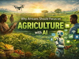 africa-agriculture-ai-future